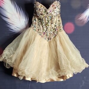 Y2K Aspeed Elegant Gold Corset Satin Dress